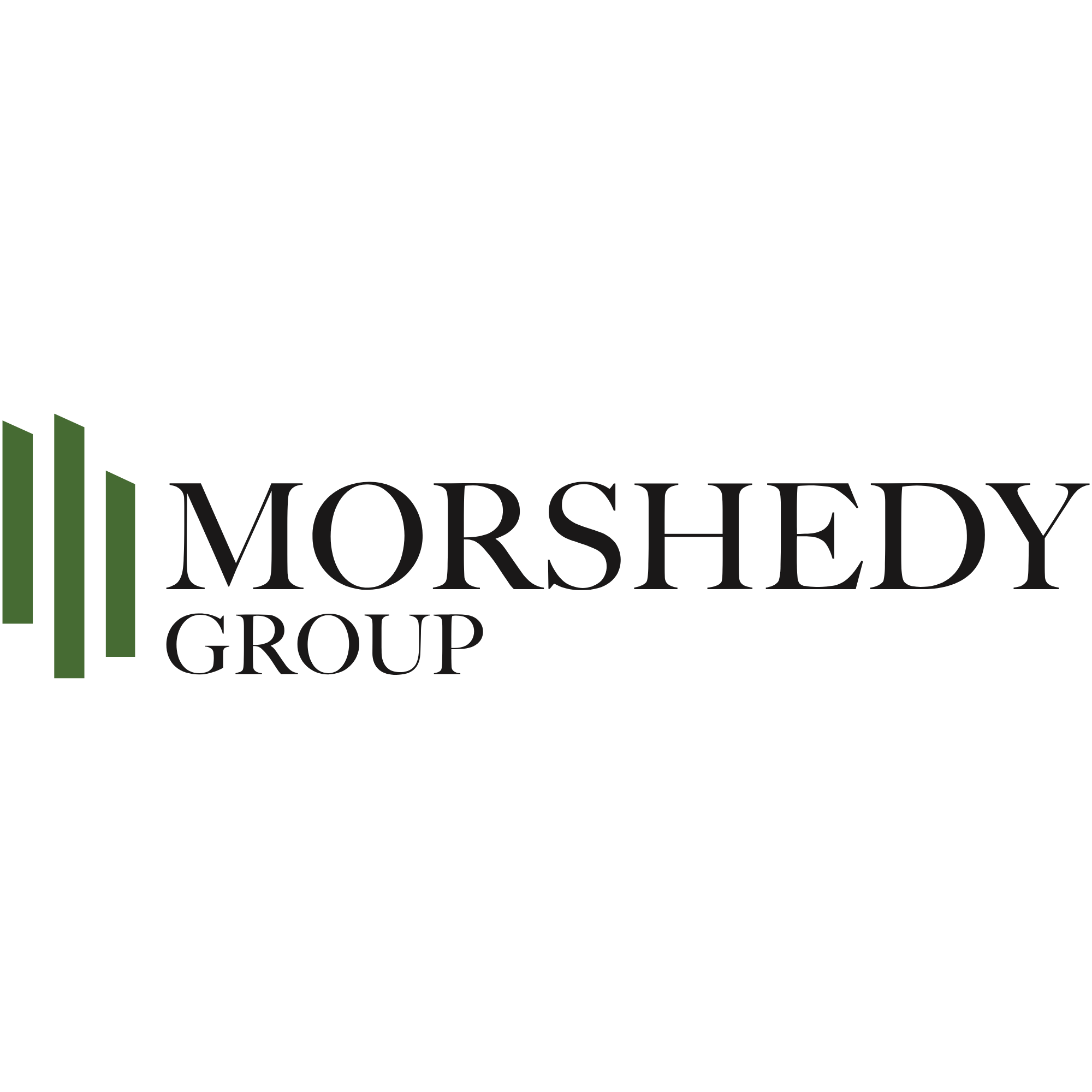 Al Morshedy Logo