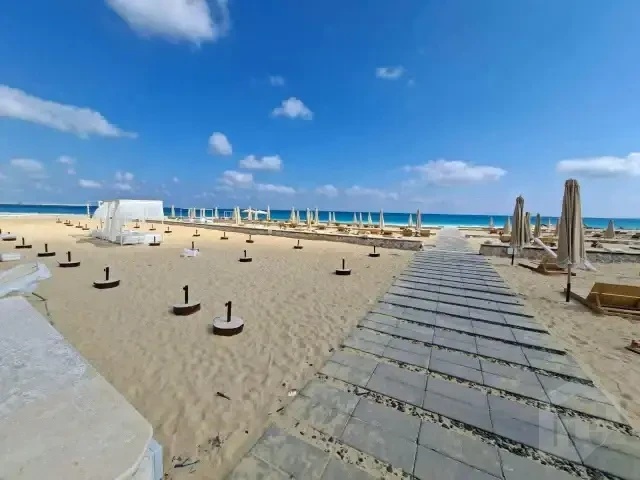 صورة العقار
