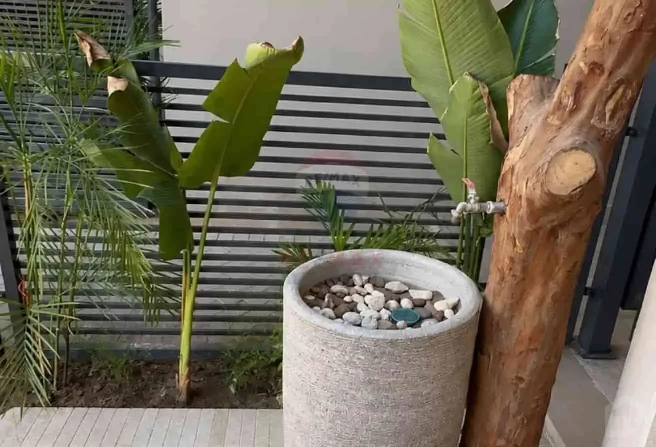 صورة العقار