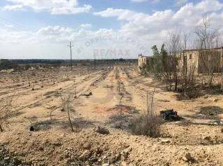 El Sherouk land for sale