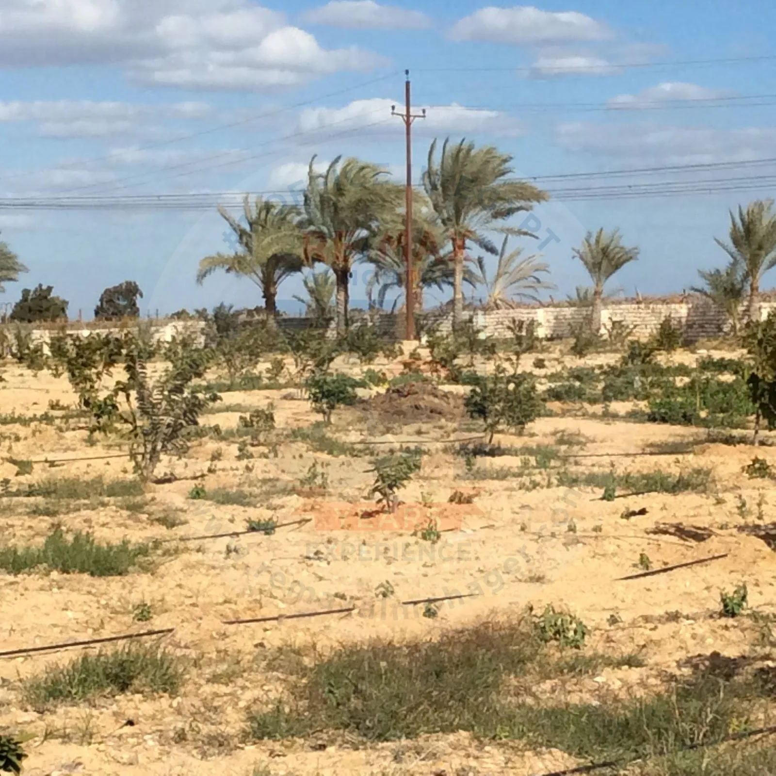 أرض للبيع أمام الشروق