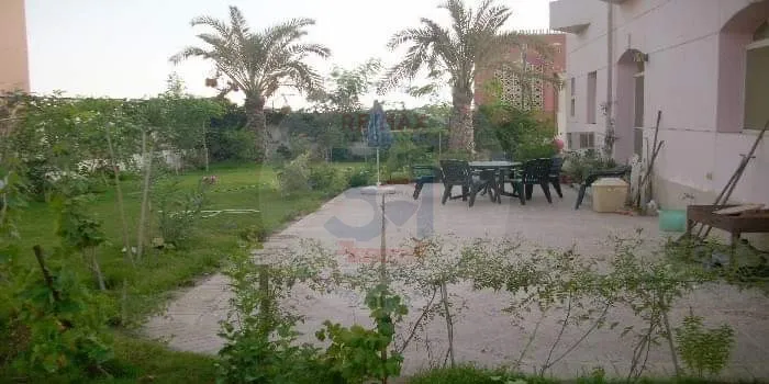 For sale in Palm hills