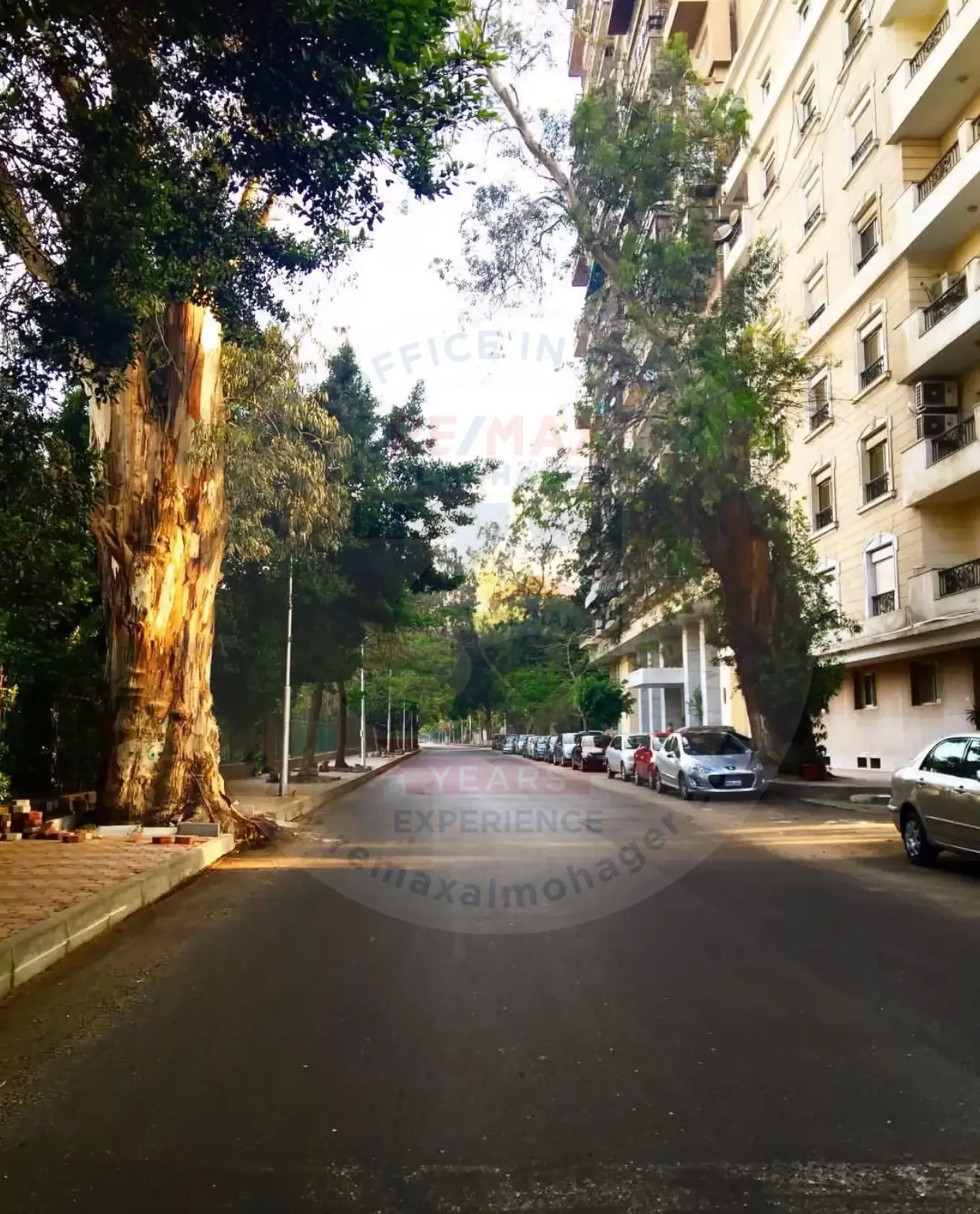 studio 40 m for sale in zamalek