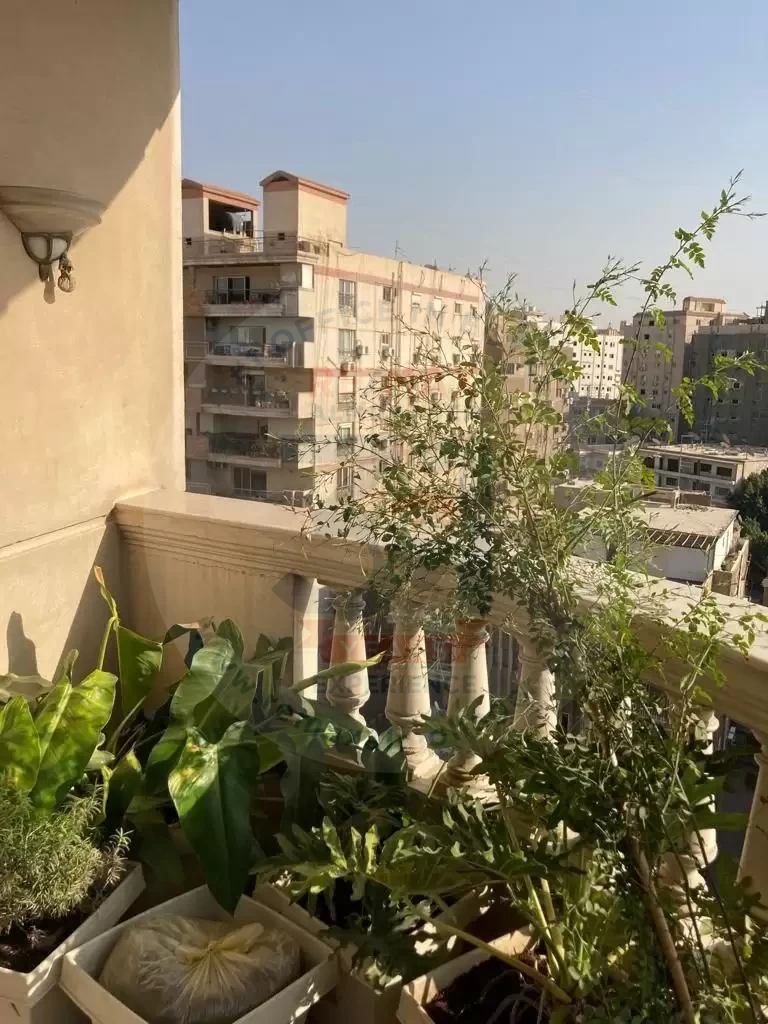 3 bedroom apartment for rent in Heliopolis