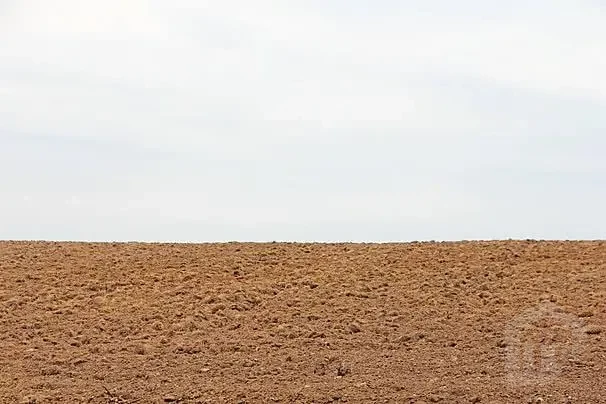 197 Feddan Land for Sale Minya