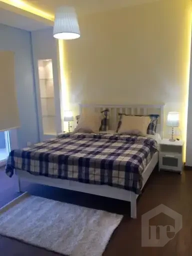 صورة العقار