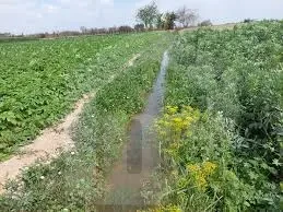 600 acres with a 1,000-m on Cairo Alex road