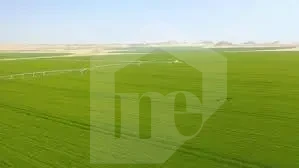 600 acres with a 1,000-m on Cairo Alex road