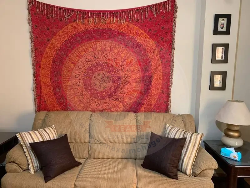 Lavish furnished rental apartment in First Settlement