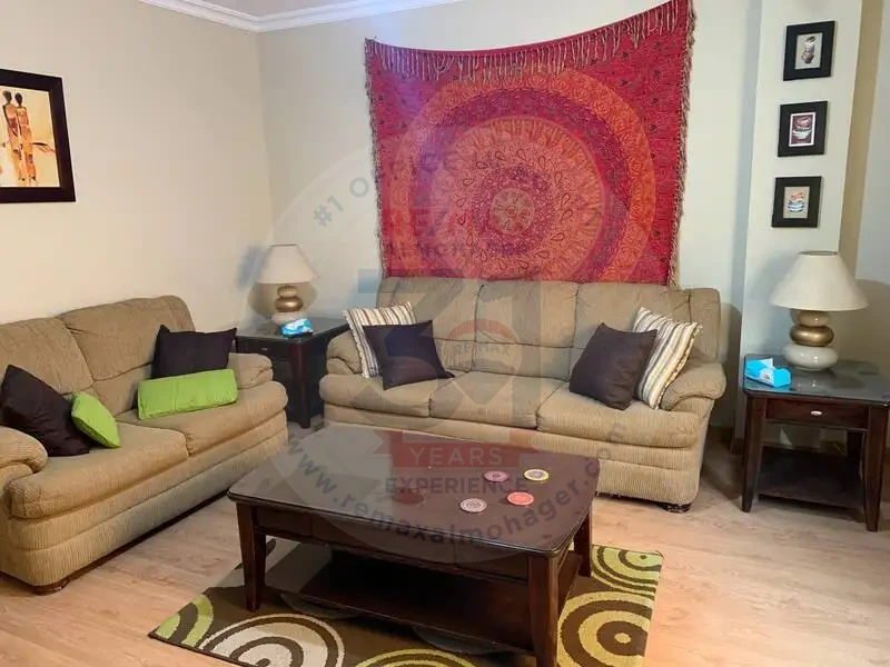 New Cairo apartment leasing options