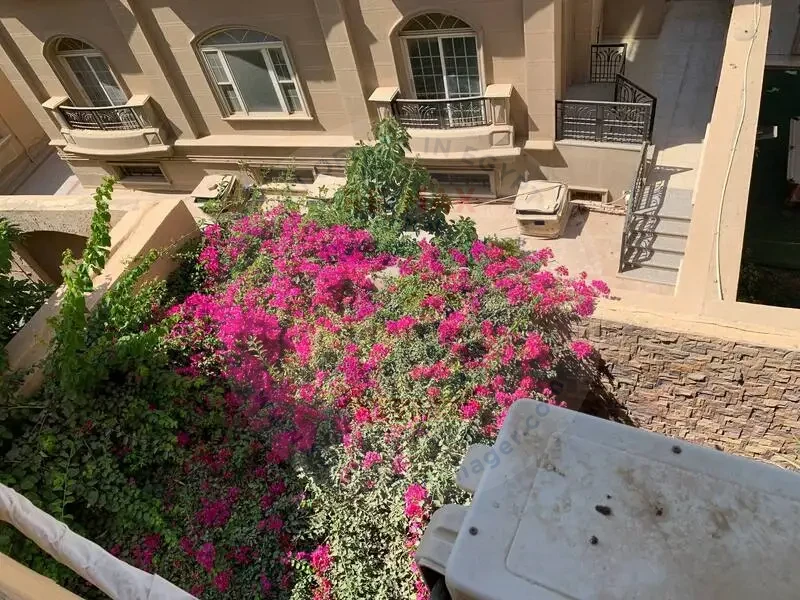 Apartments for rent in New Cairo