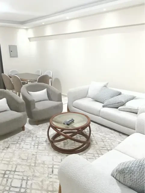 Luxury furnished apartment for rent in Nasr City in a prime location