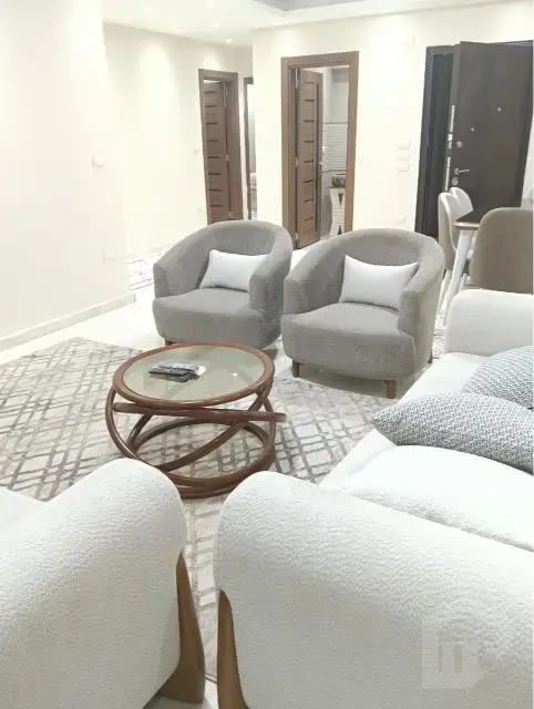Luxury furnished apartment for rent in Nasr City in a prime location