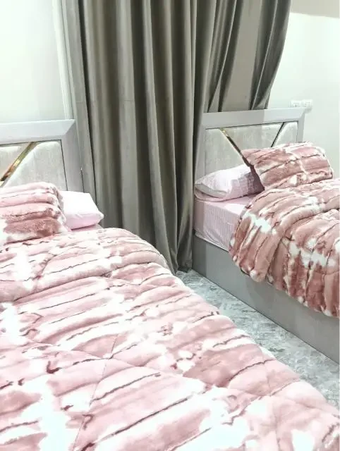 Luxury furnished apartment for rent in Nasr City in a prime location