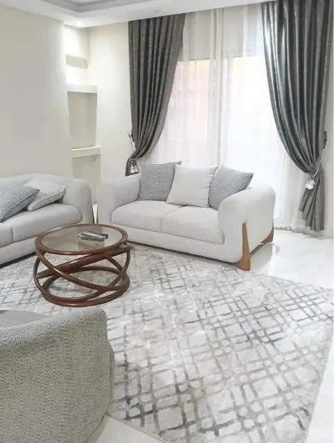Luxury furnished apartment for rent in Nasr City in a prime location