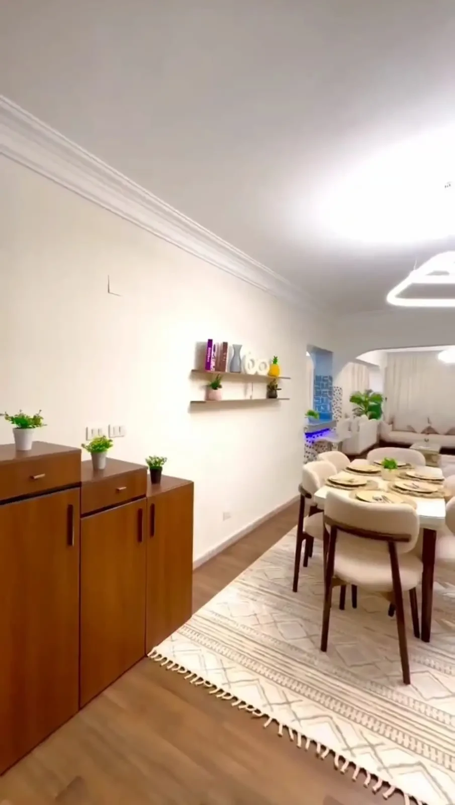 A luxurious furnished apartment for rent