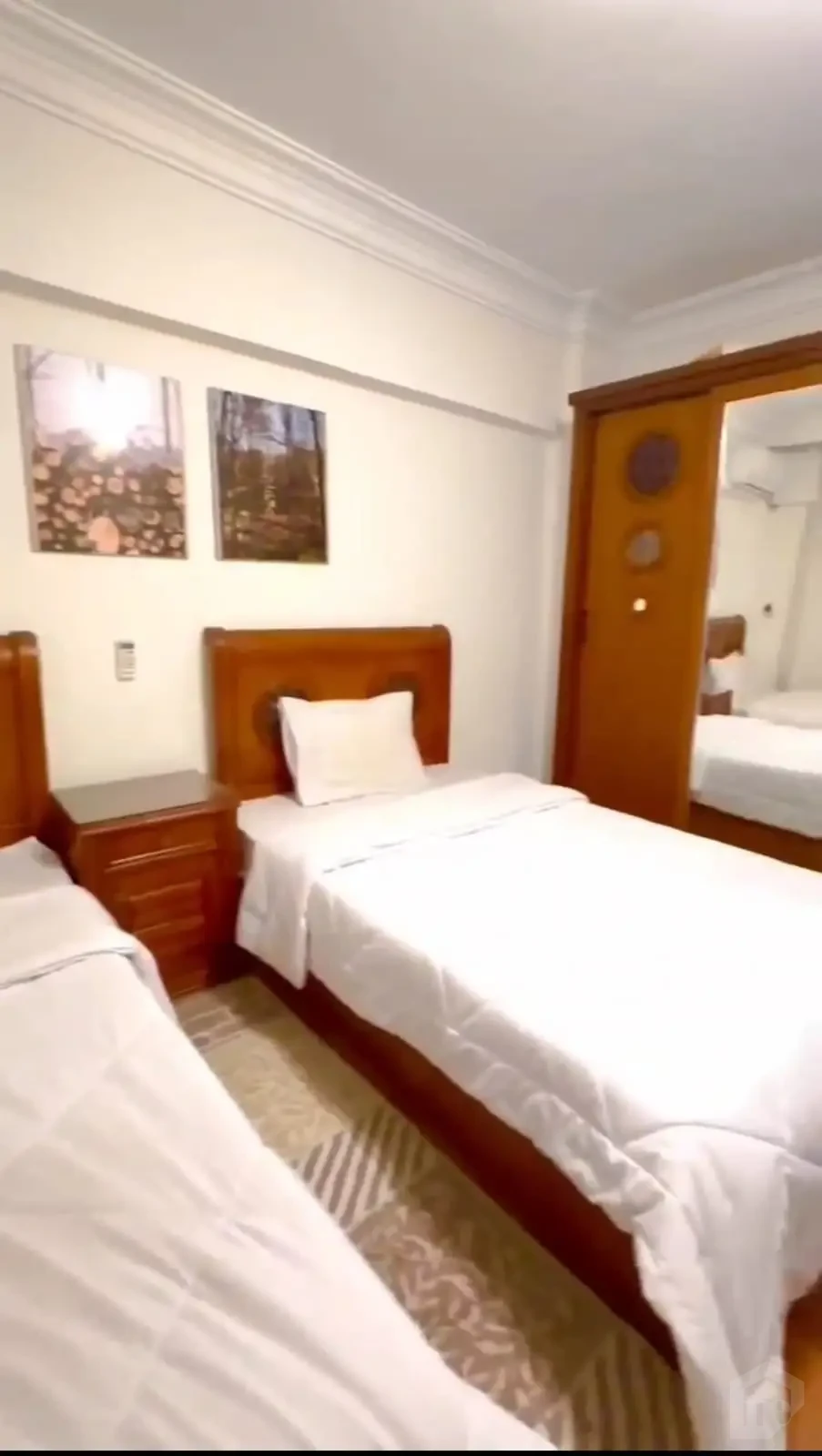 A luxurious furnished apartment for rent