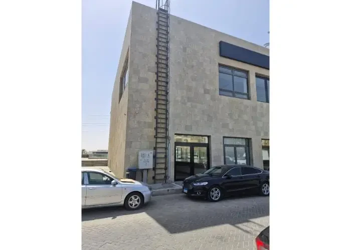 وصلة دهشور الشيخ زايد