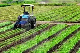 🔹 An investment opportunity in agricultural land in Sadat City, directly on an asphalt road in the heart of green belt. 🔹