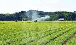 An investment opportunity in farm at sadat city