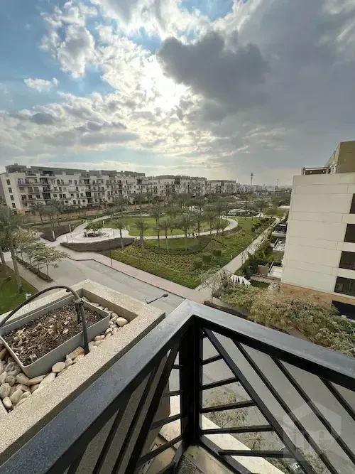 Modern Apartment with Stunning Jacaranda View in Eastown
