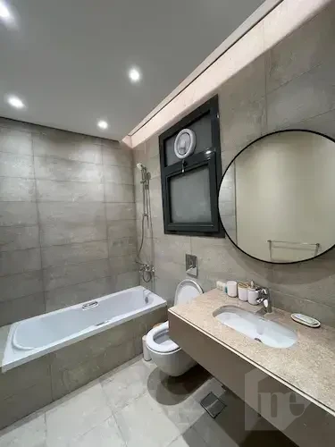 fully furnished Apartment in villette