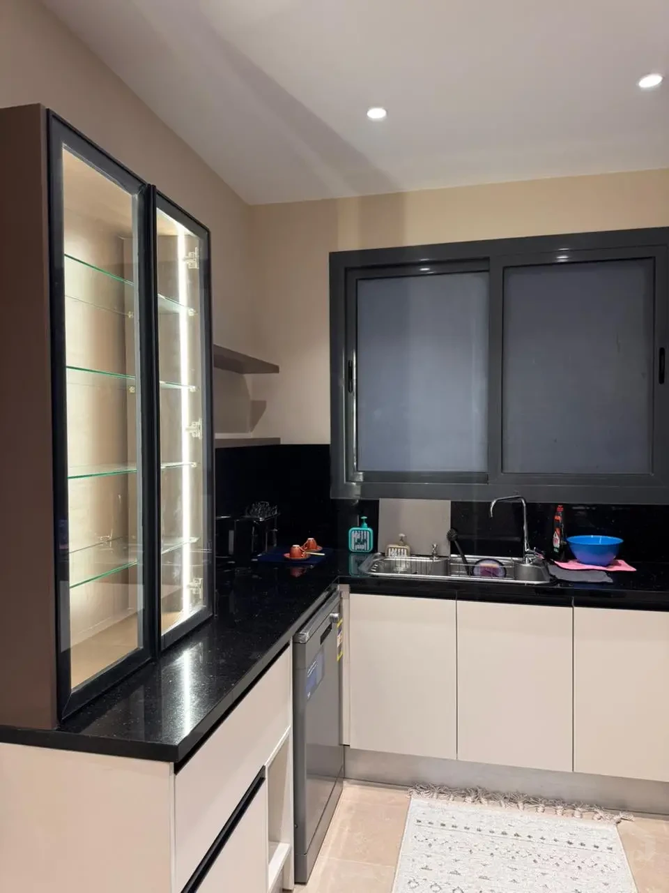 First-Use Apartment for Rent in Villette – V Residence
