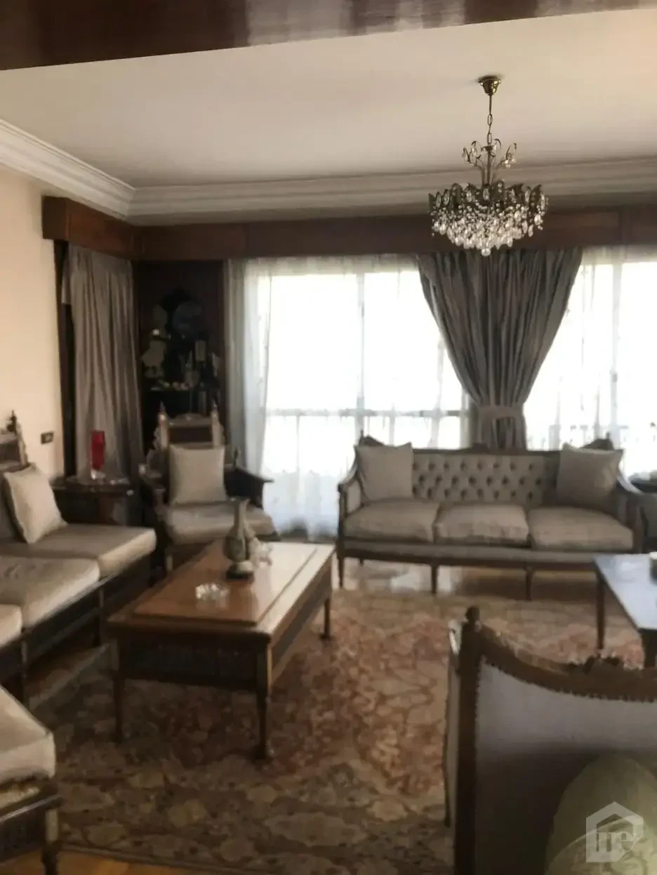 Direct Nile View apartment
