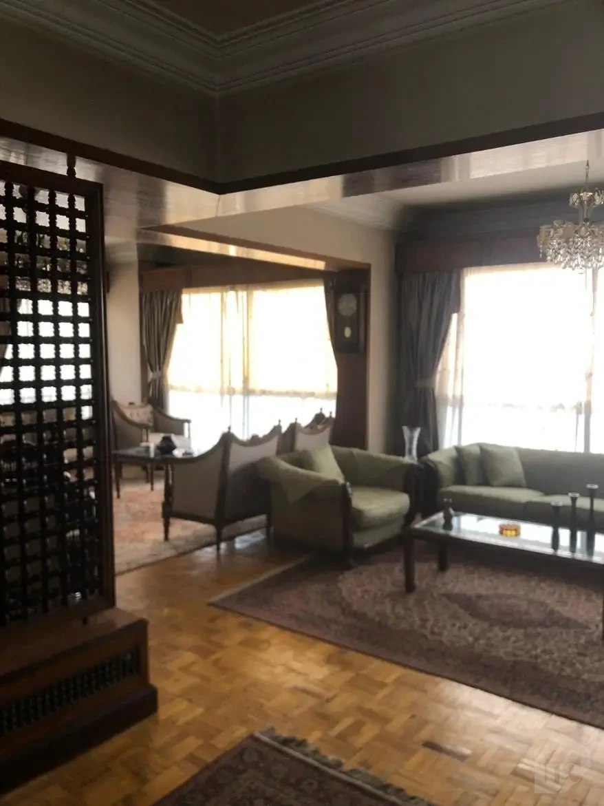 Direct Nile View apartment