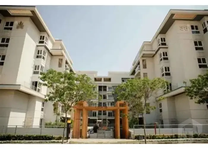 شقه للأيجار