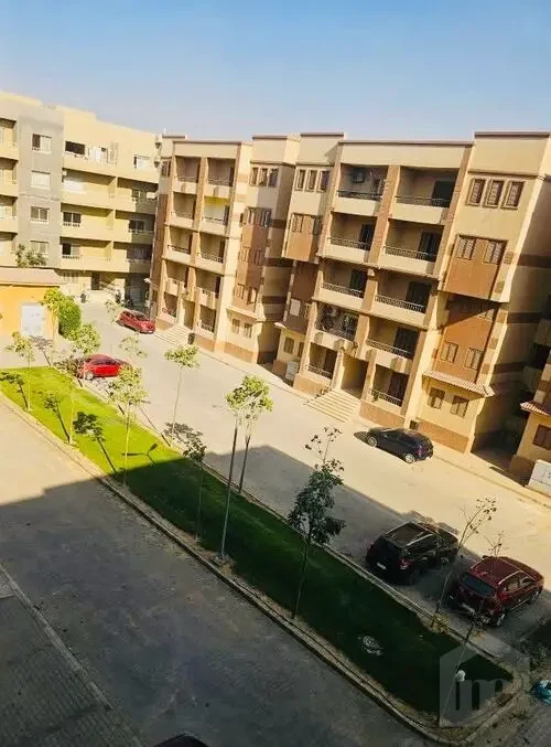 استلام فوري متشطبة
