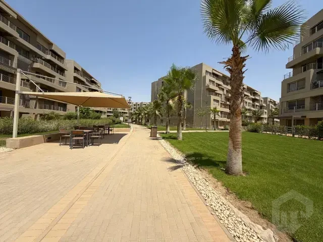 صورة العقار