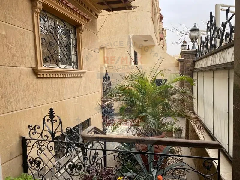 New Cairo housing rentals