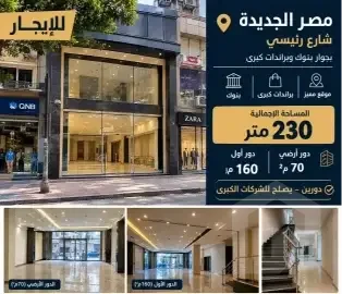 commercial-property-230-sqm-for-rent-in-heliopolis-ground-first-floors-prime-location-L9185