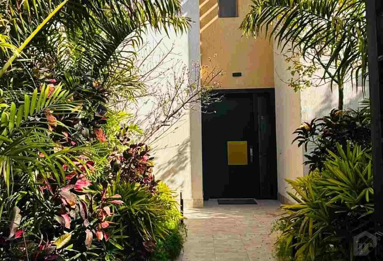 صورة العقار