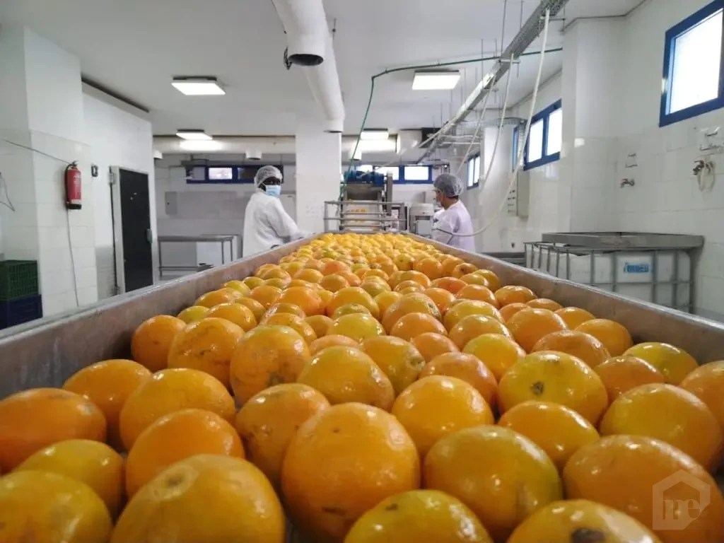 مصنع للبيع بالكامل فى المنطقة الصناعية فى الشروق