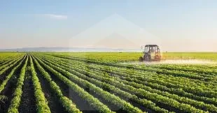 Farm for sale in Ismailia