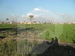 مزرعه للبيع