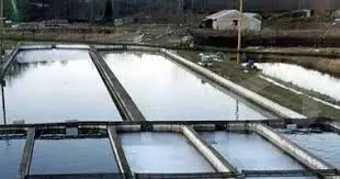 مزرعه سمكيه 13 فدان للبيع