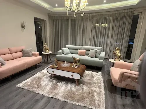 صورة العقار