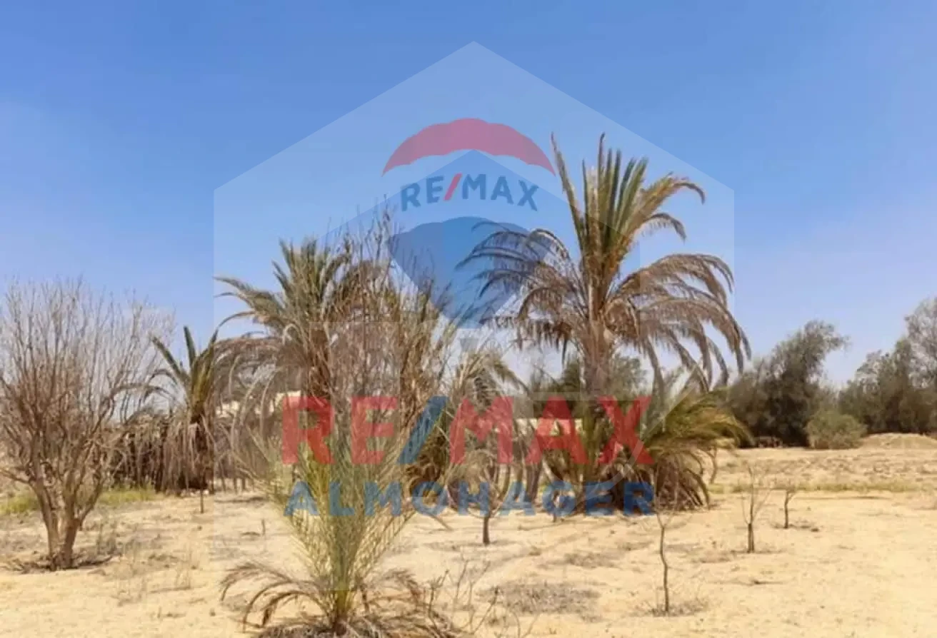 أرض للبيع في مدينة سفنكس - طريق الإسكندرية بإطلالة على الفلل والأراضي