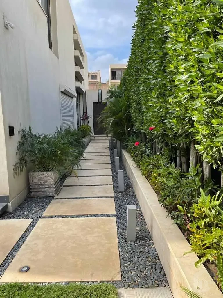 صورة العقار