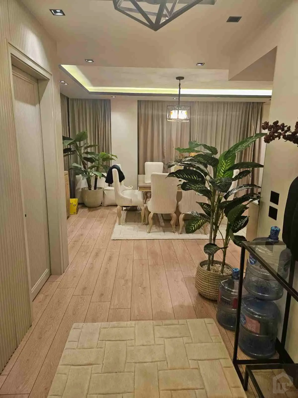 Elegant Dining Room Decorated with Natural Plants and Ceiling Lighting