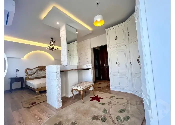 Fully Furnished penthouse