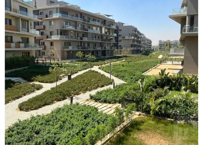 شقه للأيجار