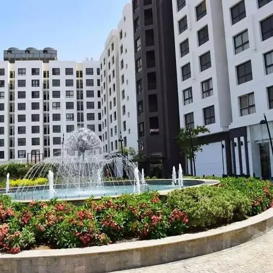 صورة العقار
