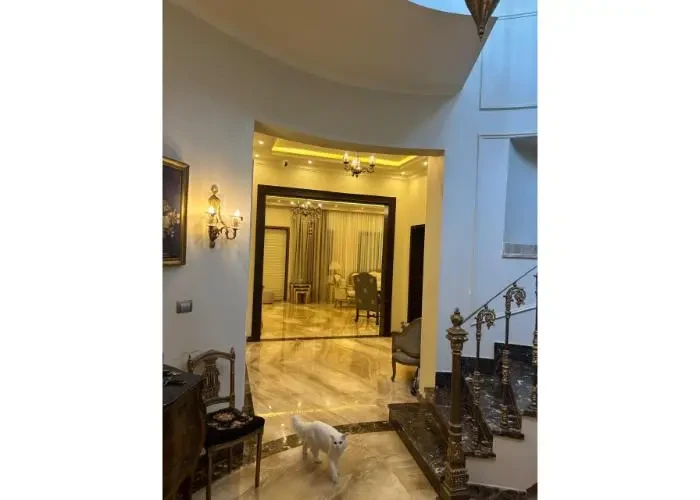 ستاند الون للبيع