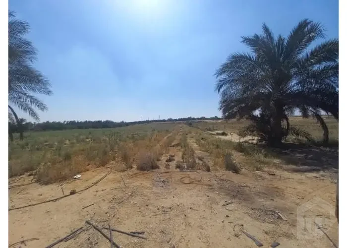 أرض للبيع أبو غالب