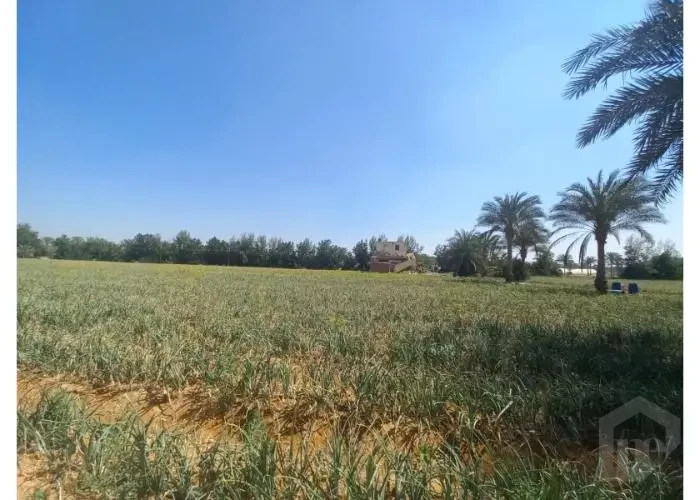 أرض كمبوند سكني للبيع