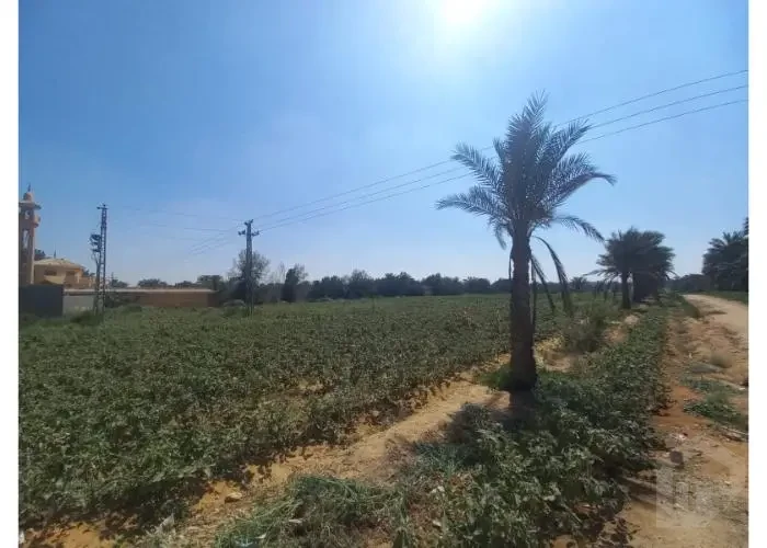 أراضي الجيل الرابع مصر